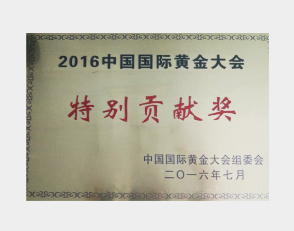2016中国国际黄金大会特别贡献奖